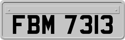 FBM7313