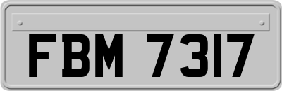 FBM7317