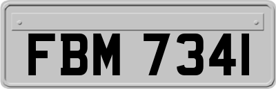FBM7341