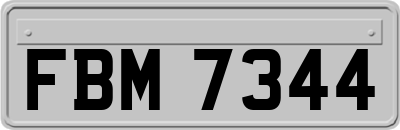 FBM7344