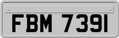 FBM7391