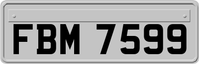 FBM7599