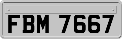 FBM7667