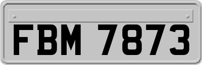 FBM7873