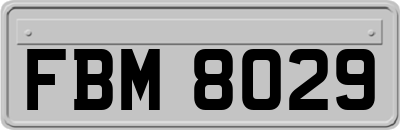 FBM8029