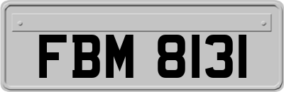 FBM8131