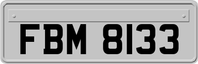 FBM8133
