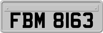 FBM8163