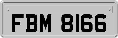 FBM8166
