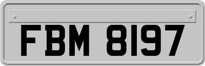 FBM8197