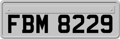 FBM8229