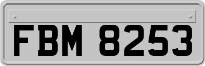 FBM8253