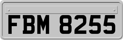 FBM8255