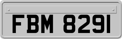 FBM8291