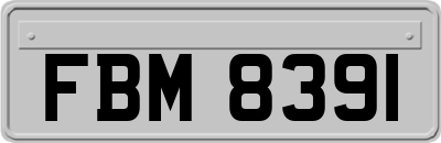 FBM8391