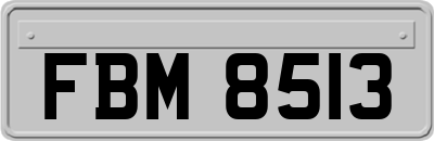 FBM8513