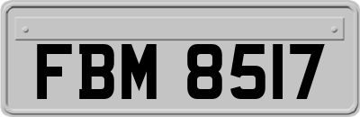 FBM8517