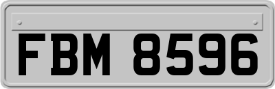 FBM8596