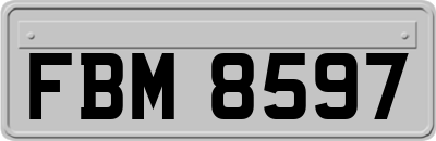 FBM8597