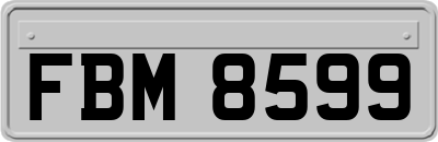 FBM8599