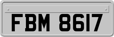 FBM8617