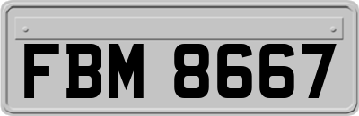 FBM8667