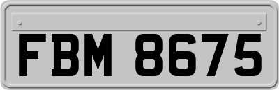 FBM8675