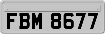FBM8677
