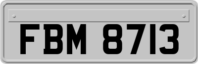 FBM8713