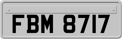FBM8717