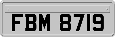 FBM8719