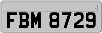 FBM8729