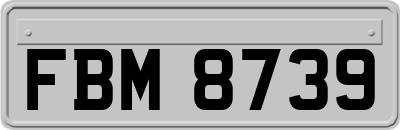 FBM8739