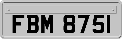 FBM8751