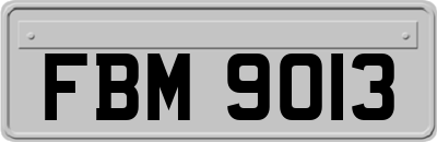 FBM9013