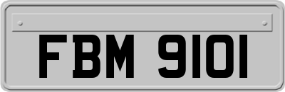 FBM9101