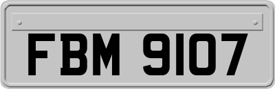 FBM9107