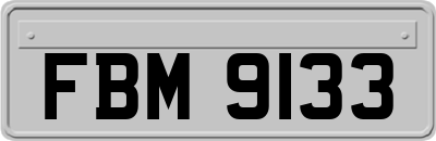 FBM9133