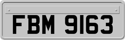 FBM9163