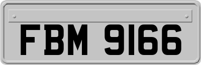 FBM9166