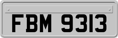 FBM9313