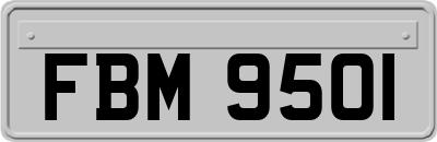 FBM9501