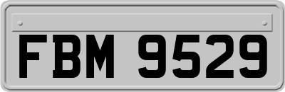 FBM9529
