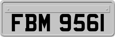 FBM9561