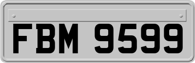 FBM9599
