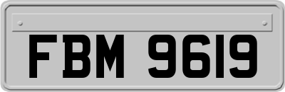FBM9619