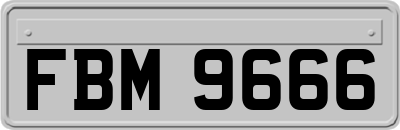 FBM9666