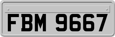FBM9667