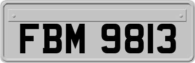 FBM9813