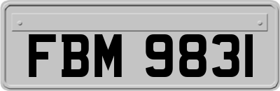 FBM9831